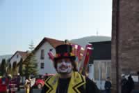 Tivola's Welt - Bildergalerie 2015-02-15: Faschingsumzug LA