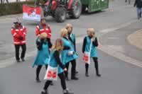 Tivola's Welt - Bildergalerie 2015-02-17: Faschingsumzug in Neuendorf