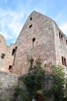 Tivola's Welt - Bildergalerie Tag des Denkmals Ruine Schönrain (10.09.2017)