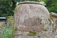 Tivola's Welt - Bildergalerie Tag des Denkmals Ruine Schönrain (10.09.2017)