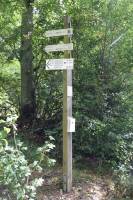 Tivola's Welt - Bildergalerie Tag des Denkmals Ruine Schönrain (10.09.2017)