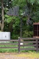 Tivola's Welt - Bildergalerie Besuch von Tobiashammer und KZ Buchenwald im September 2017