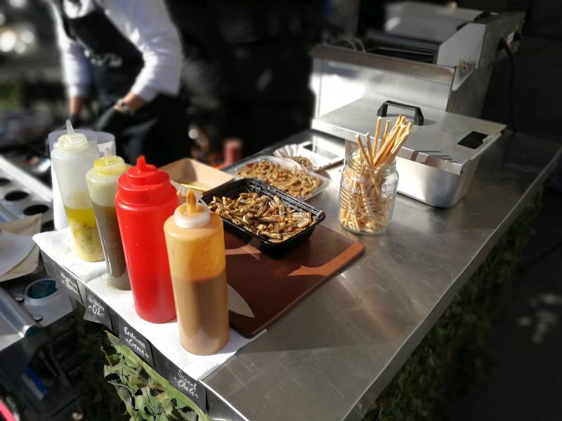 Tivola's Welt - News