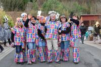 Tivola's Welt - Bildergalerie Faschingsumzug Neuendorf (2017)